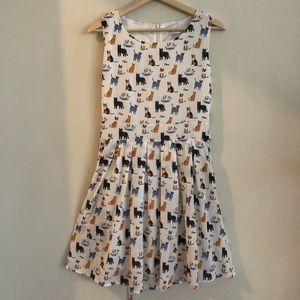 NWT L.A. Soul cat dress in small